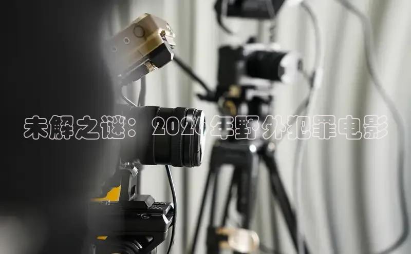 未解之谜：2026年野外犯罪电影